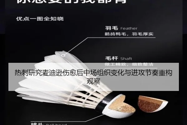 热刺研究麦迪逊伤愈后中场组织变化与进攻节奏重构观察